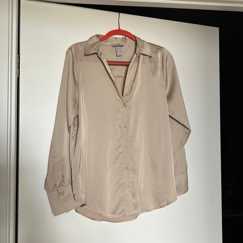 Beige/Gold Satin Work Blouse